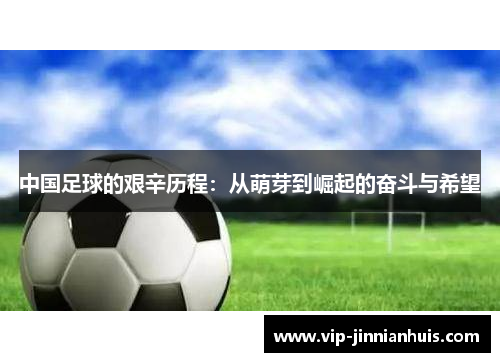 中国足球的艰辛历程：从萌芽到崛起的奋斗与希望