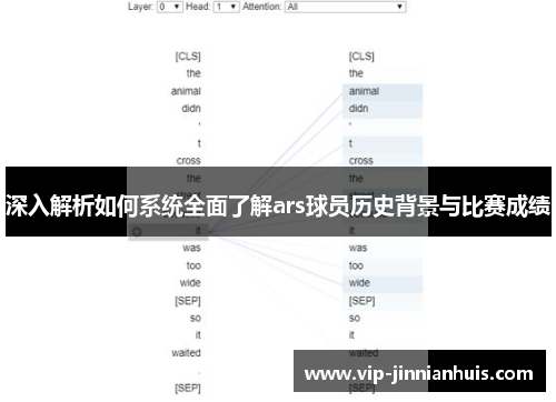 深入解析如何系统全面了解ars球员历史背景与比赛成绩